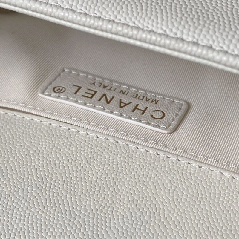 Chanel Leboy Series Bags 4017-0854