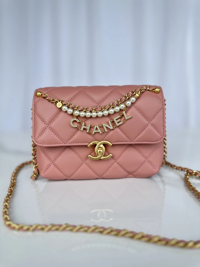 Chanel 19 Bags 4017-0871