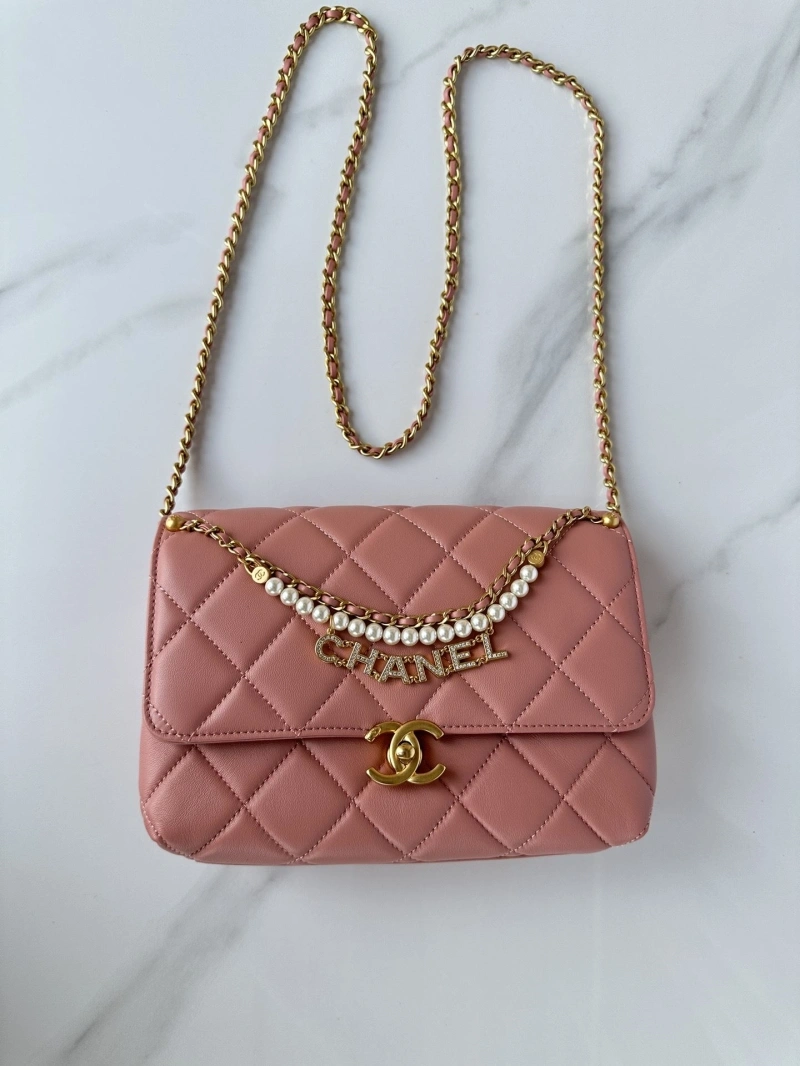 Chanel 19 Bags 4017-0876