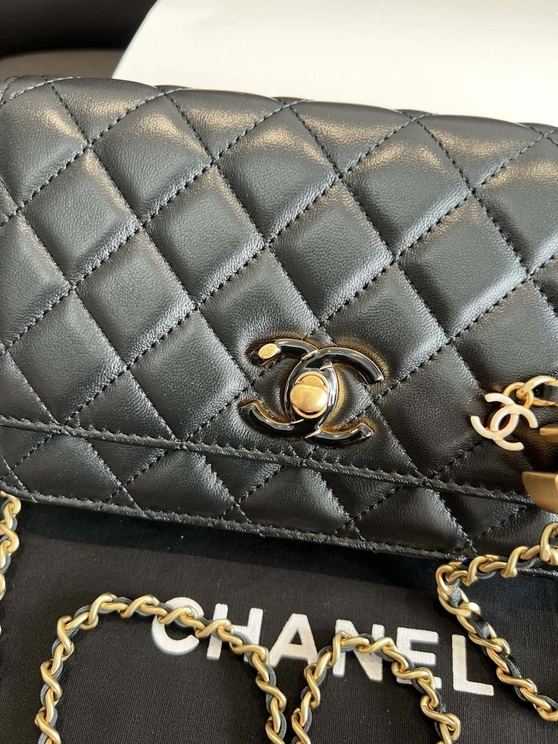 Chanel Satchel Bags 4017-0885