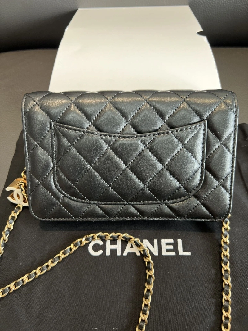 Chanel Satchel Bags 4017-0885
