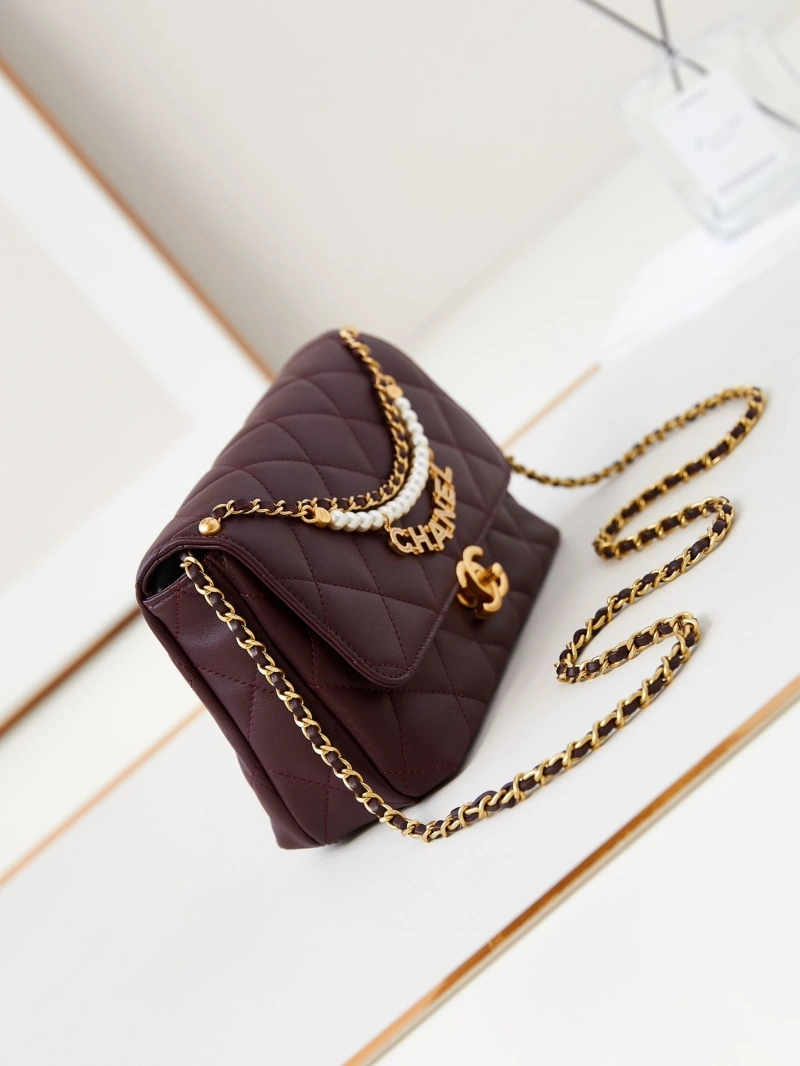 Chanel 19 Bags 4017-0895