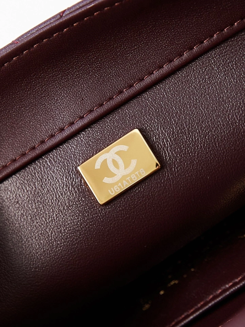 Chanel 19 Bags 4017-0895