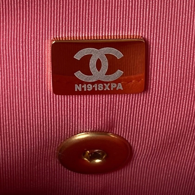 Chanel Satchel Bags 4017-0910