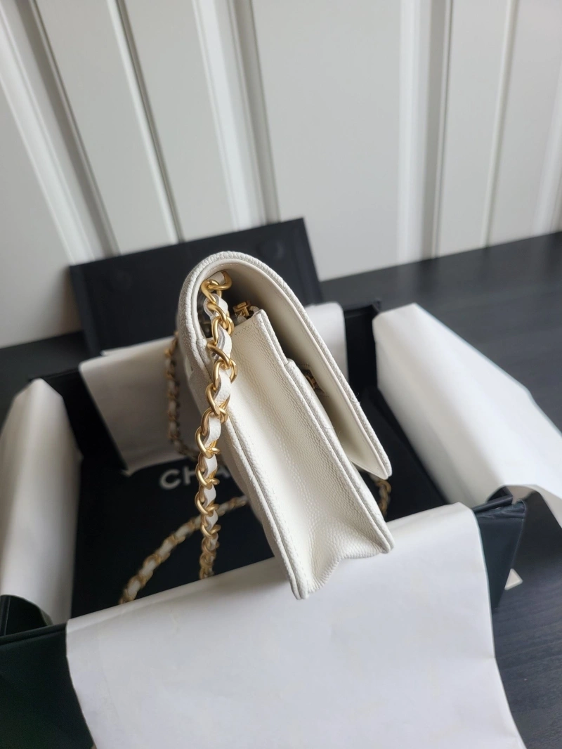 Chanel Satchel Bags 4017-0932