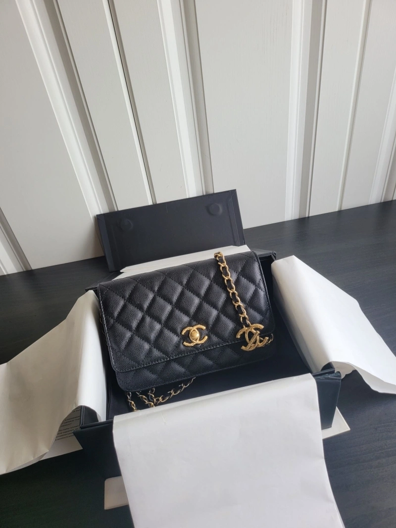 Chanel Satchel Bags 4017-0933