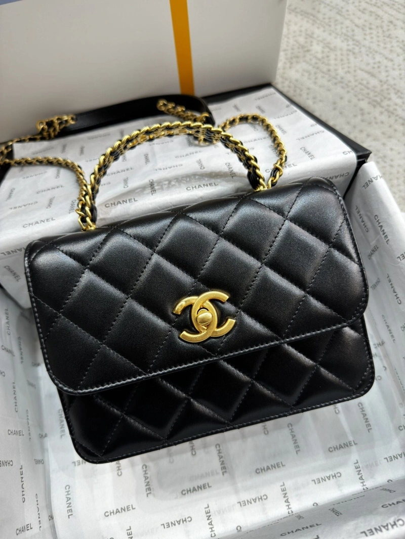 Chanel Satchel Bags 4017-1072