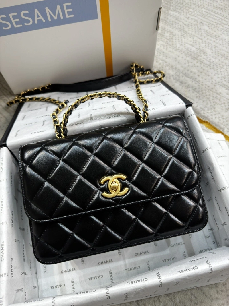 Chanel Satchel Bags 4017-1073
