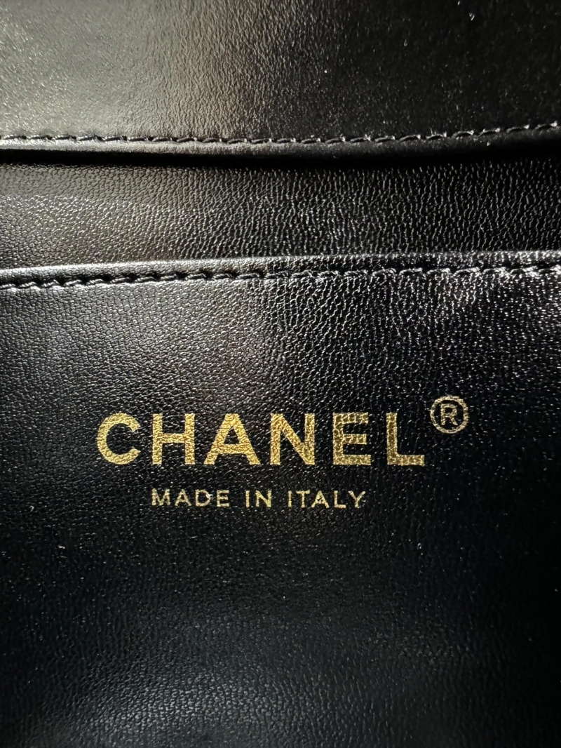 Chanel Satchel Bags 4017-1073