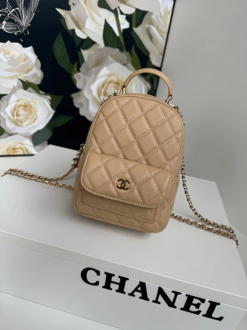 Chanel Satchel Bags 4017-1096