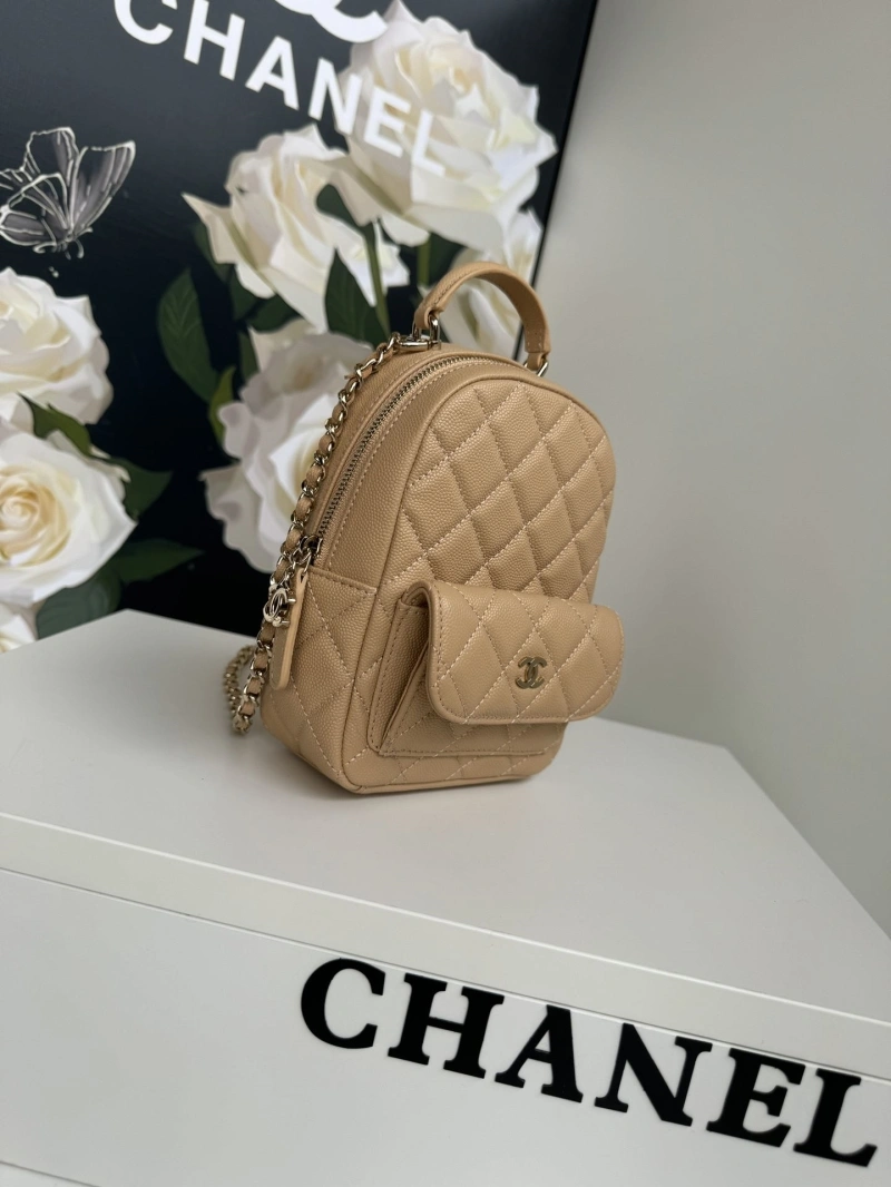 Chanel Satchel Bags 4017-1096