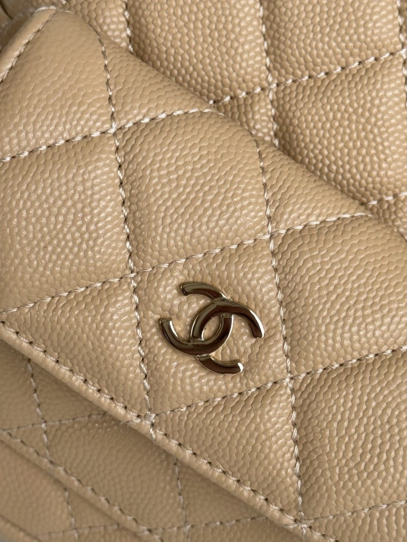 Chanel Satchel Bags 4017-1096