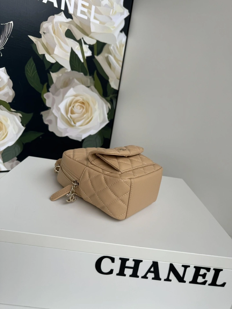 Chanel Satchel Bags 4017-1096
