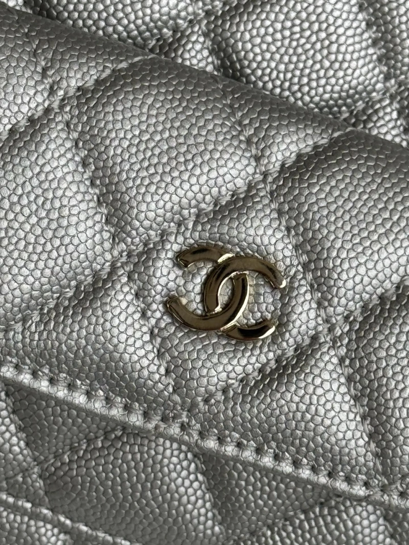 Chanel Satchel Bags 4017-1097