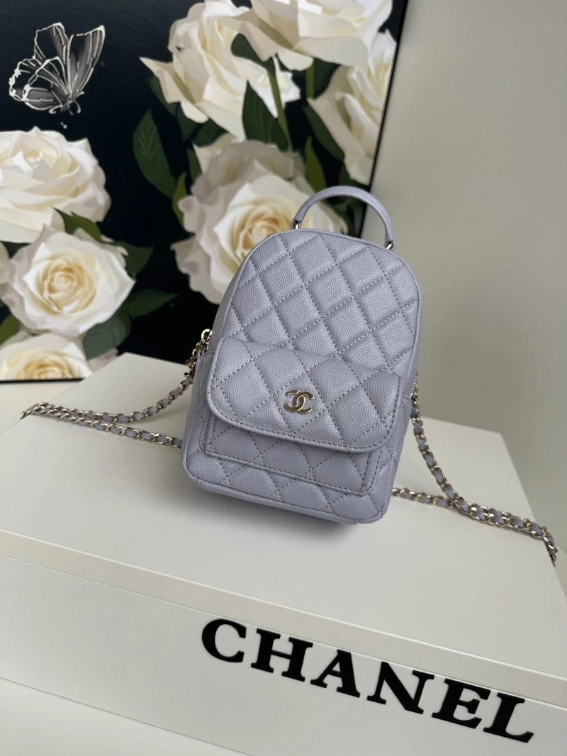 Chanel Satchel Bags 4017-1098