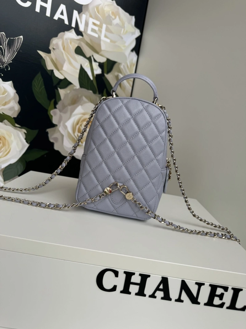 Chanel Satchel Bags 4017-1098