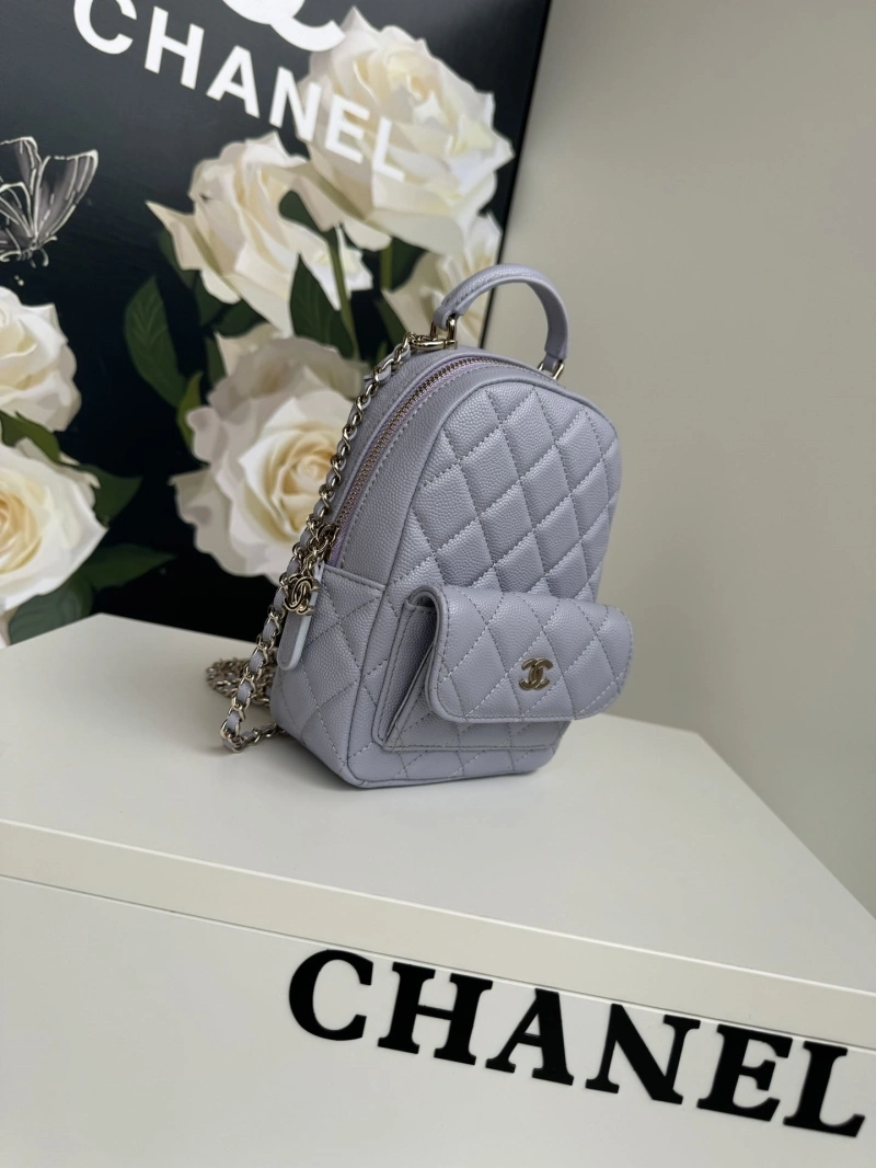 Chanel Satchel Bags 4017-1098