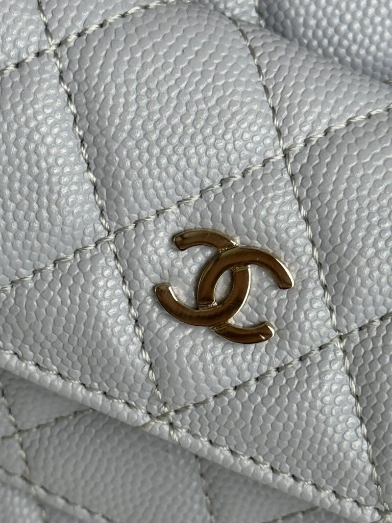 Chanel Satchel Bags 4017-1098