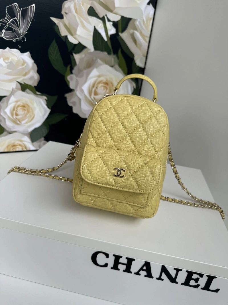 Chanel Satchel Bags 4017-1099