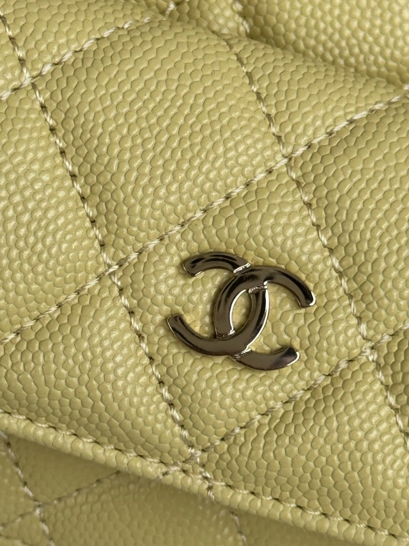 Chanel Satchel Bags 4017-1099