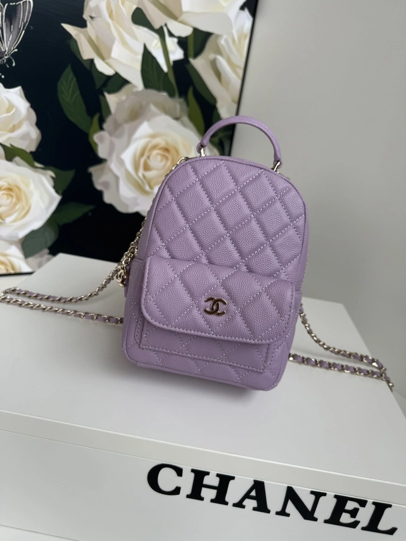 Chanel Satchel Bags 4017-1100