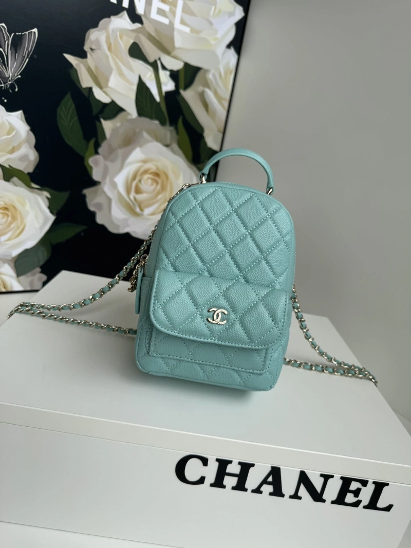 Chanel Satchel Bags 4017-1101