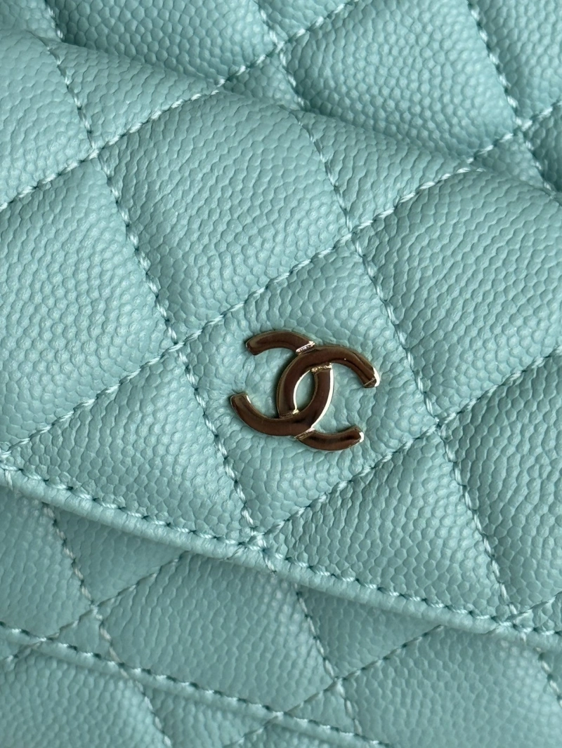 Chanel Satchel Bags 4017-1101