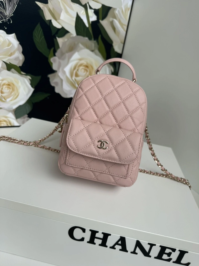 Chanel Satchel Bags 4017-1102