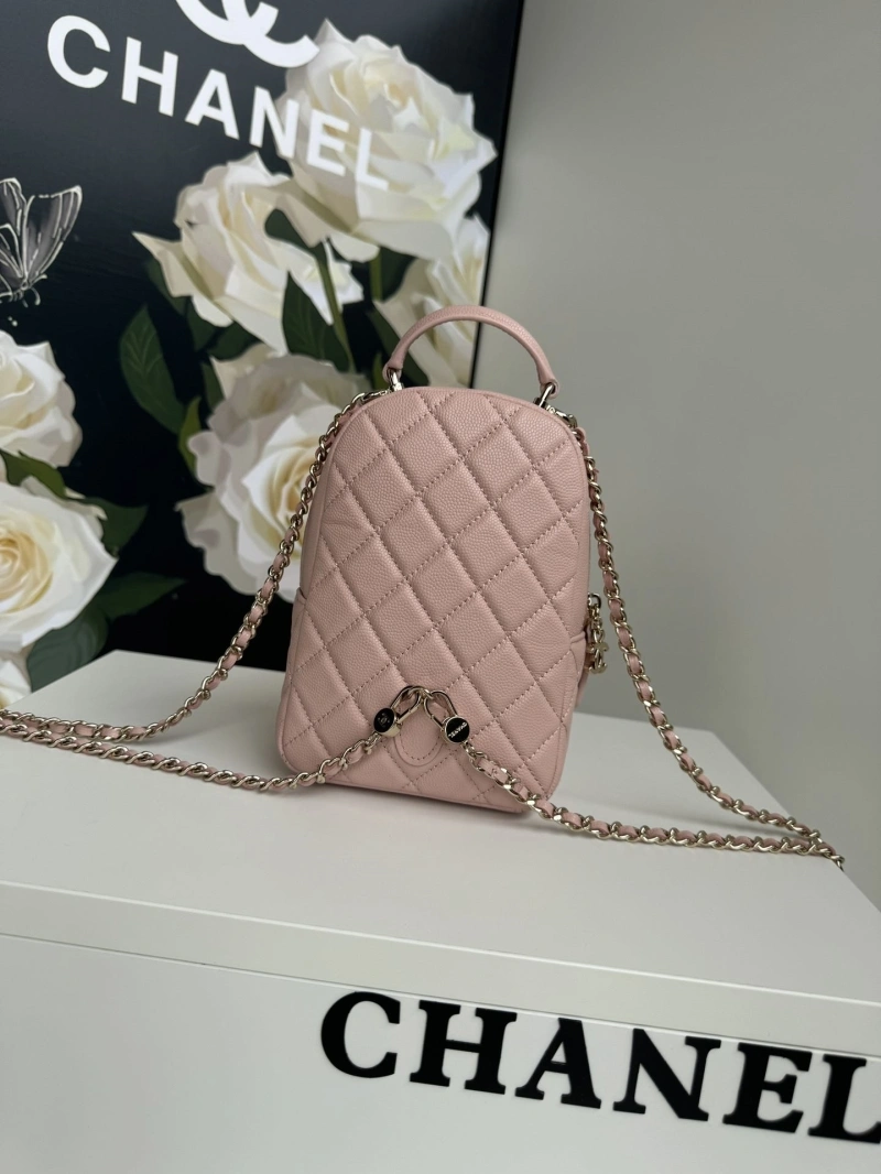 Chanel Satchel Bags 4017-1102