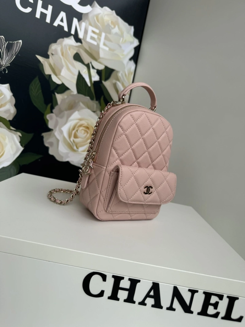 Chanel Satchel Bags 4017-1102