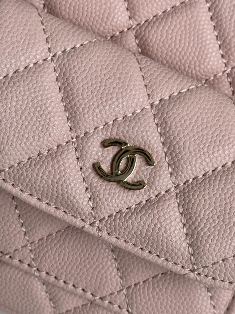 Chanel Satchel Bags 4017-1102