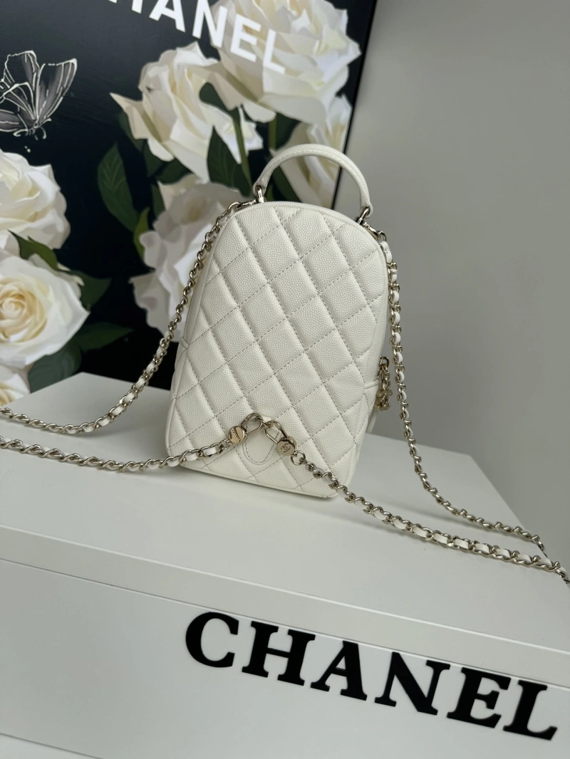Chanel Satchel Bags 4017-1103