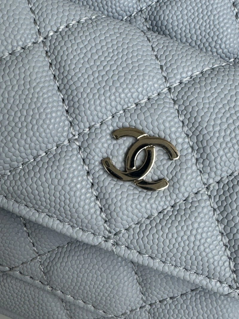 Chanel Satchel Bags 4017-1104