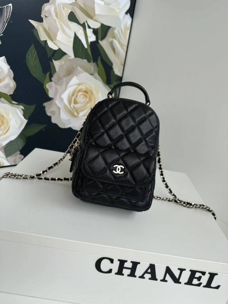Chanel Satchel Bags 4017-1105
