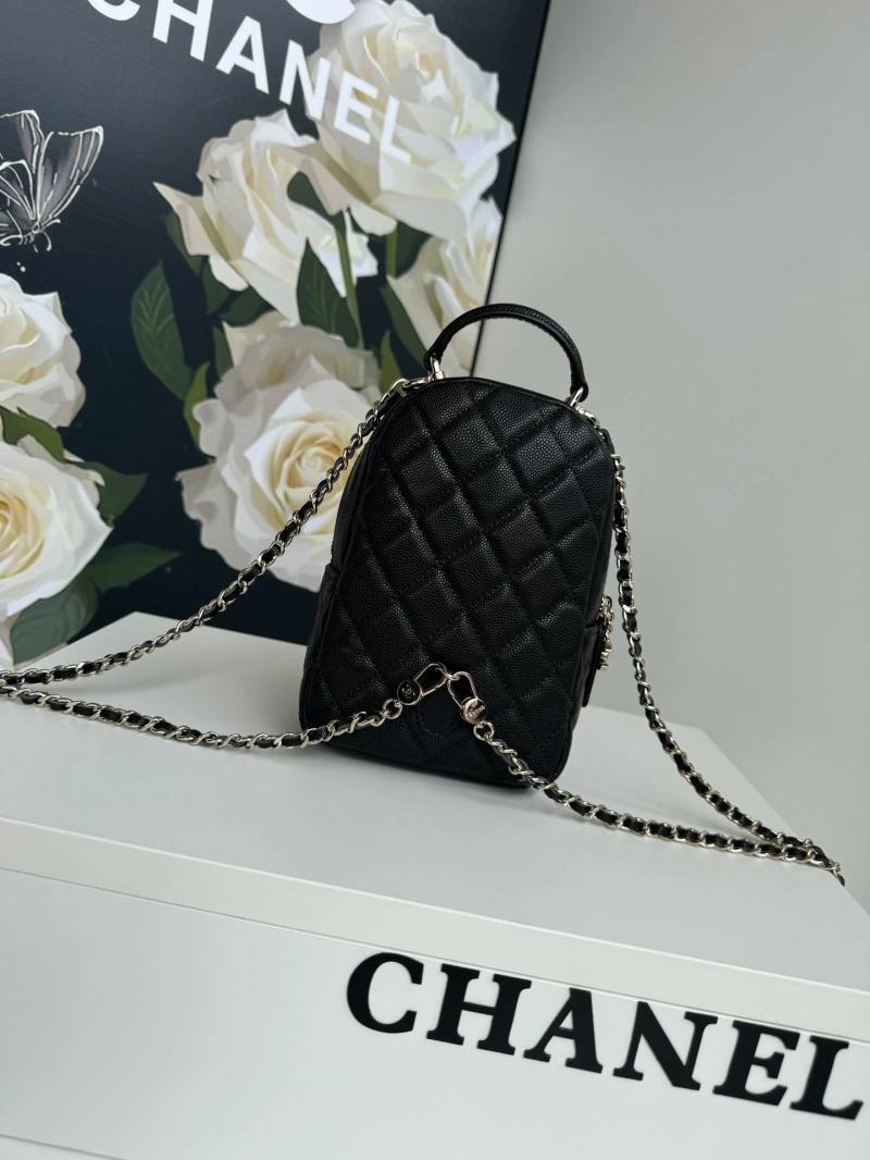 Chanel Satchel Bags 4017-1105