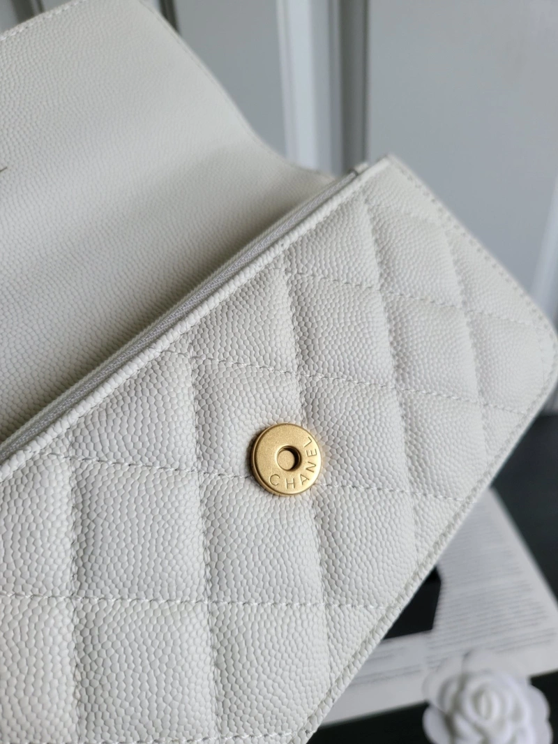 Chanel 19 Bags 4017-1106