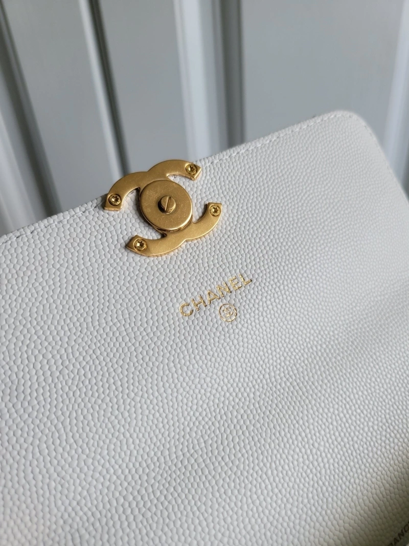 Chanel 19 Bags 4017-1106