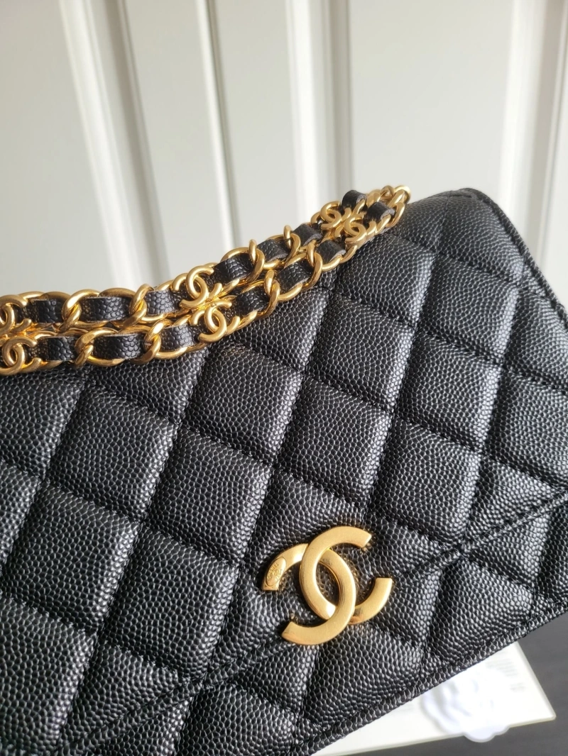Chanel 19 Bags 4017-1108