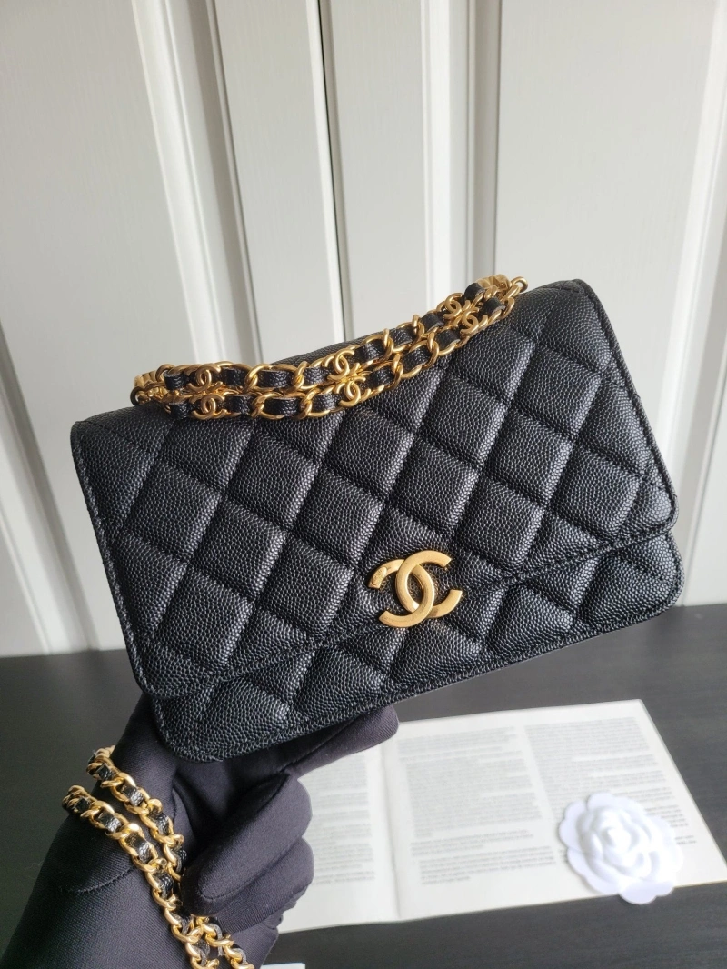 Chanel 19 Bags 4017-1108