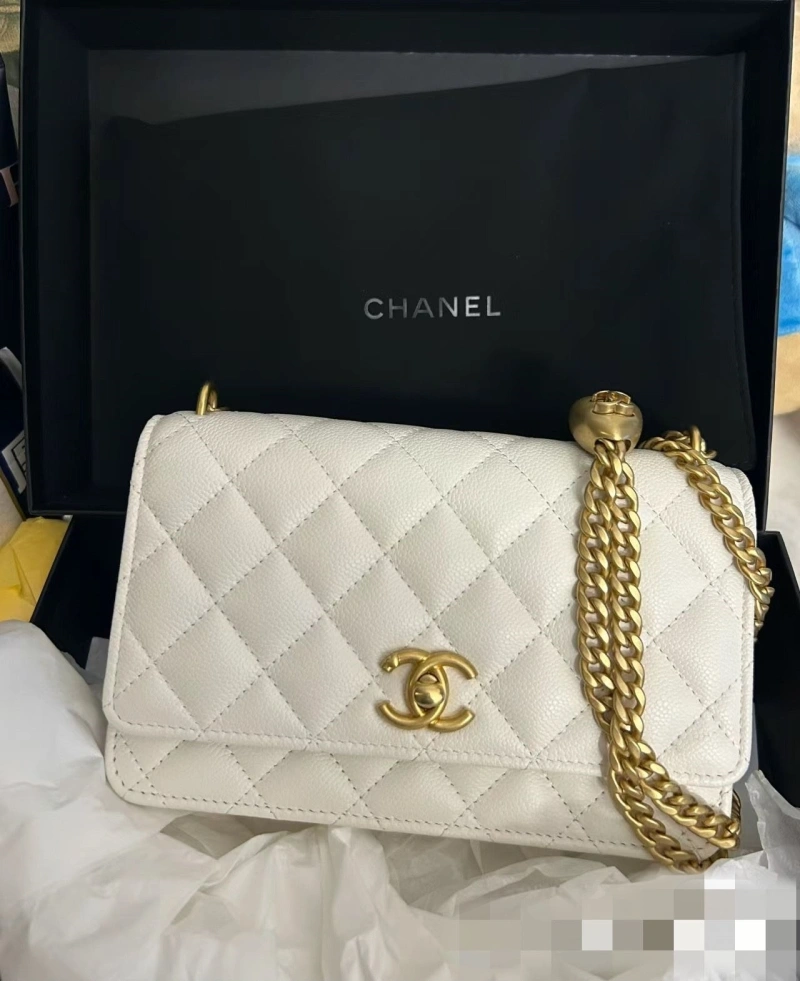 Chanel WOC Bags 4017-1109