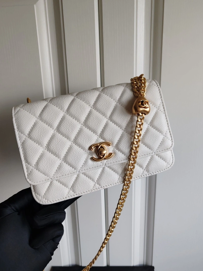 Chanel WOC Bags 4017-1298