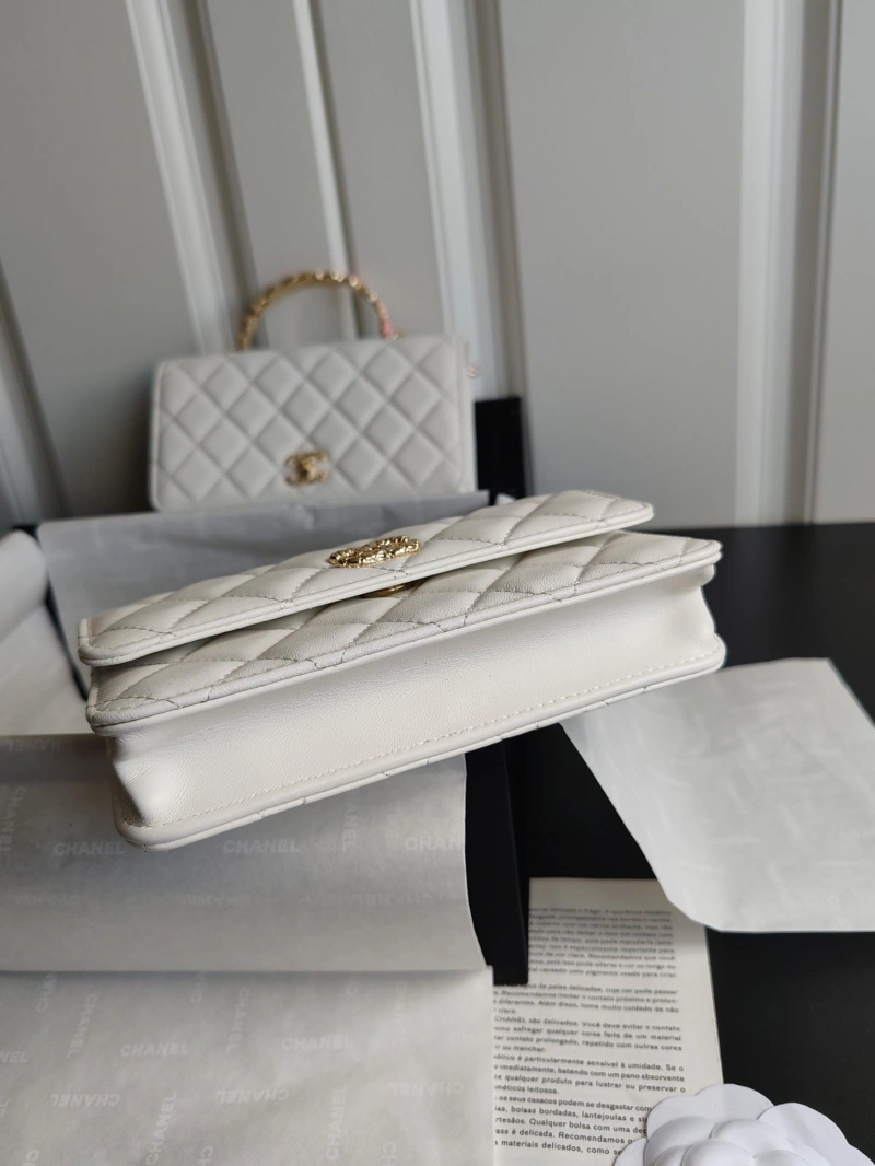 Chanel Satchel Bags 4017-1300