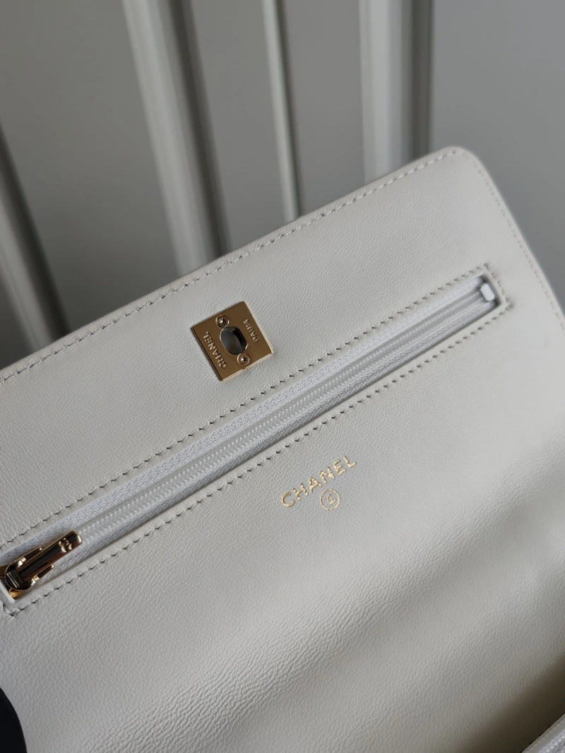 Chanel Satchel Bags 4017-1301