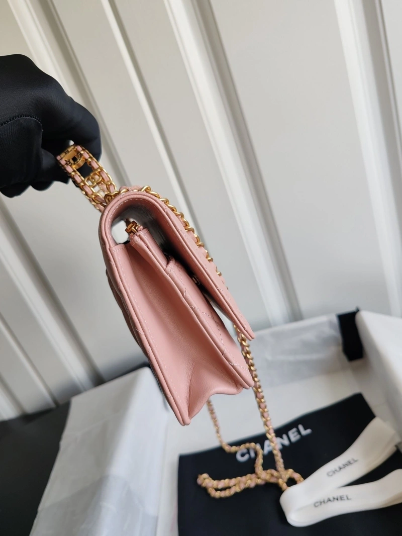 Chanel Satchel Bags 4017-1303