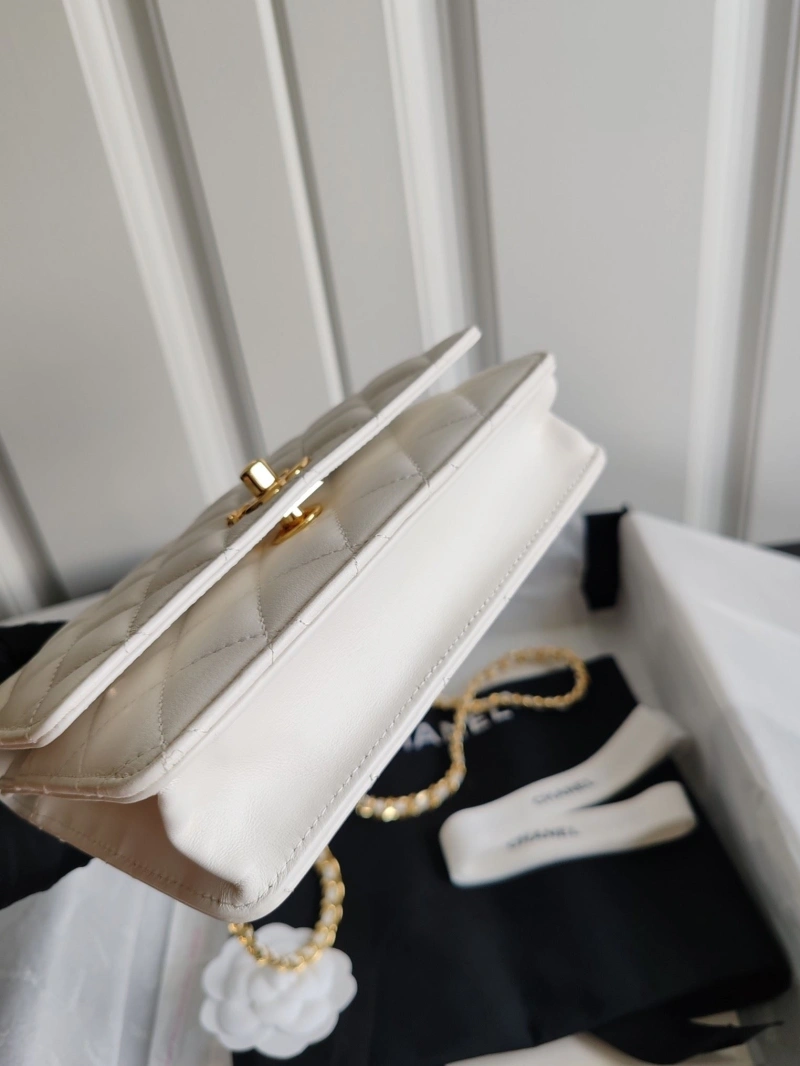 Chanel Cosmetic Bags 4017-1307