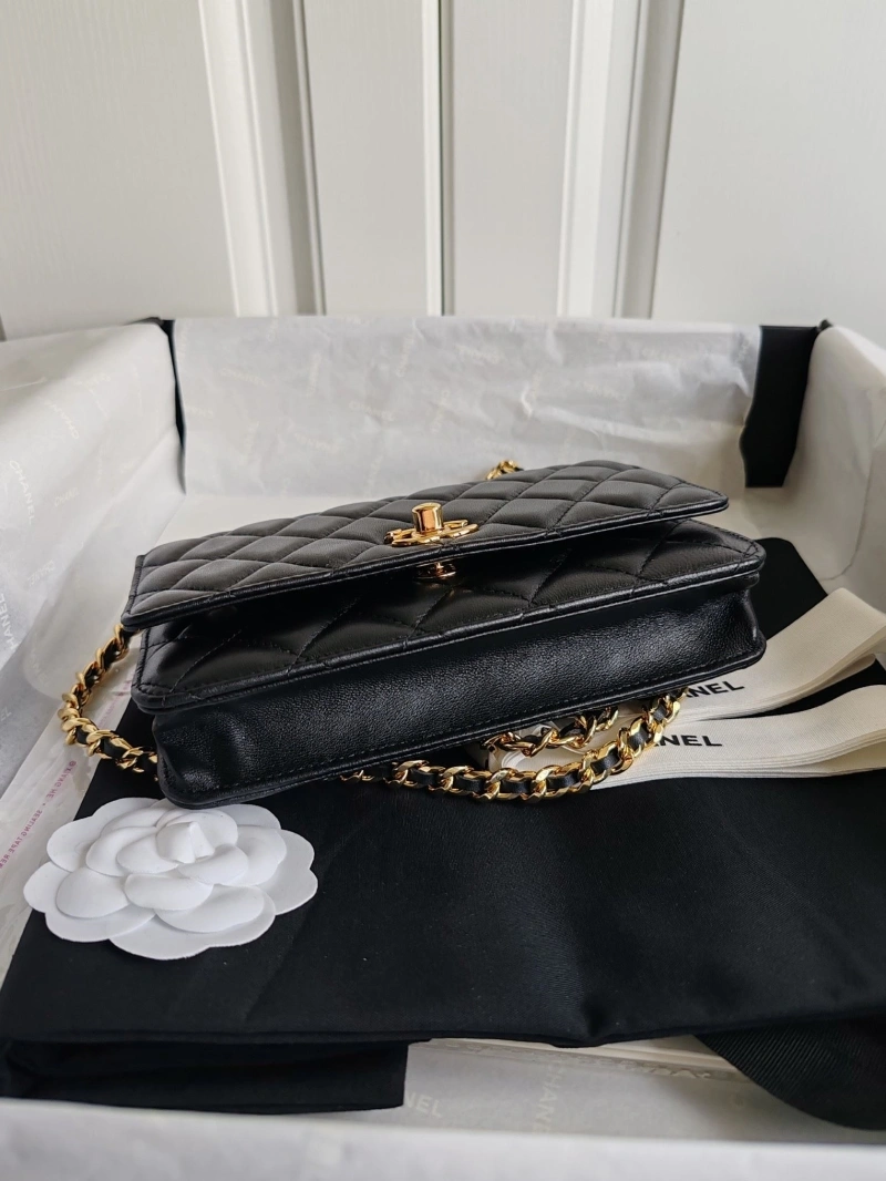 Chanel Cosmetic Bags 4017-1308