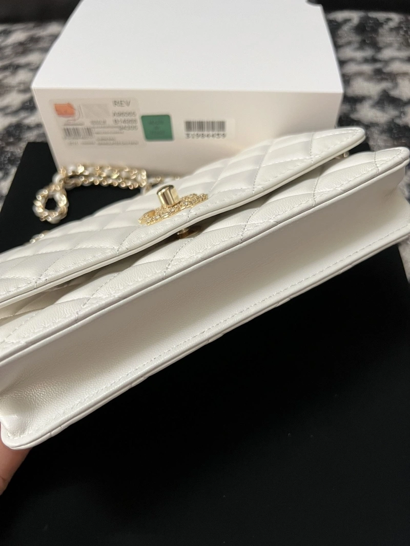 Chanel WOC Bags 4017-1382