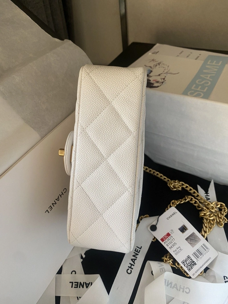 Chanel 19 Bags 4017-1518