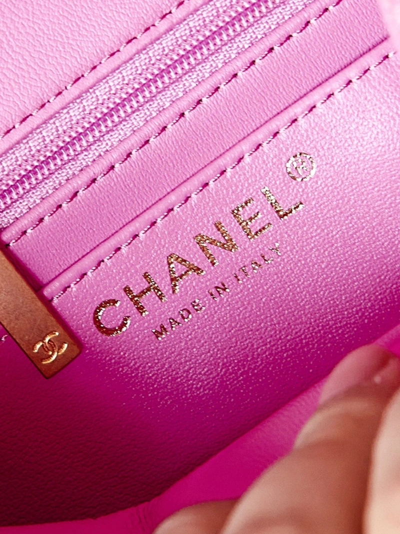 Chanel 19 Bags 4017-1524