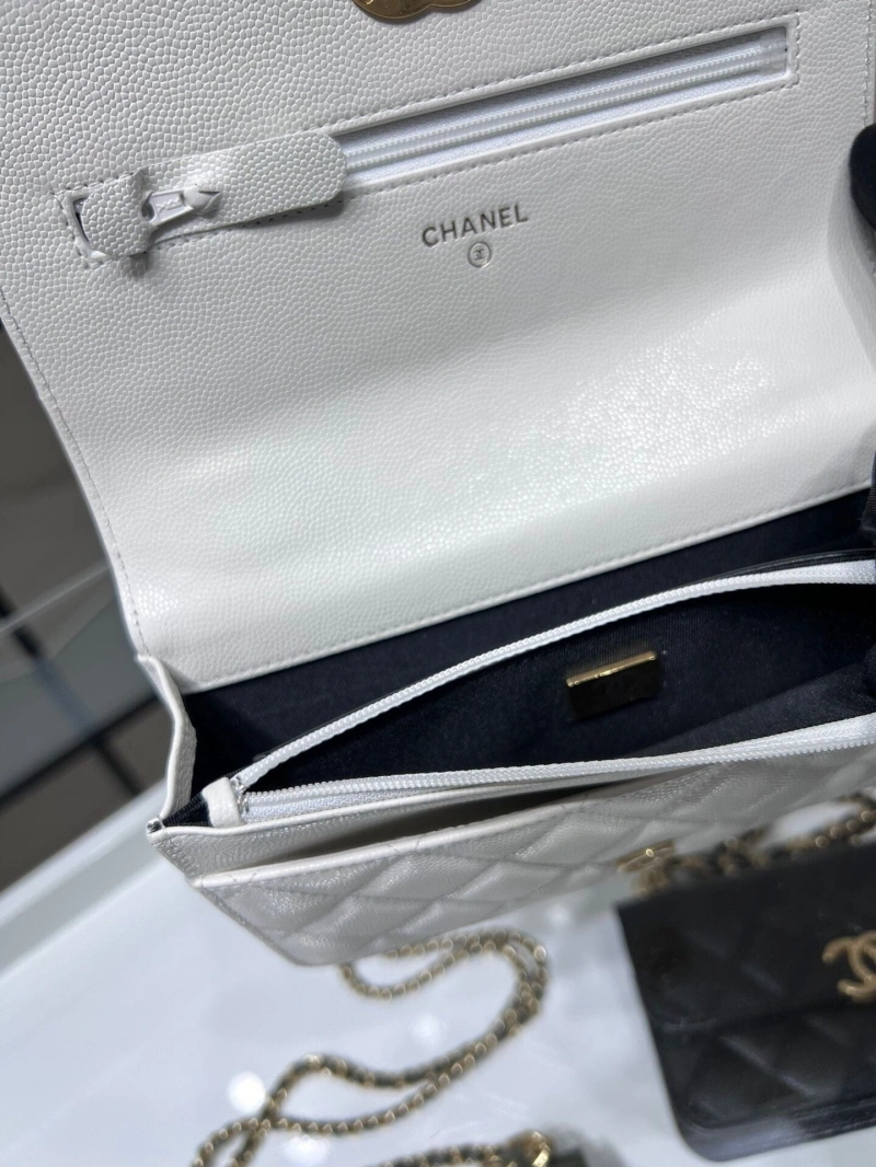 Chanel 19 Bags 4017-1552